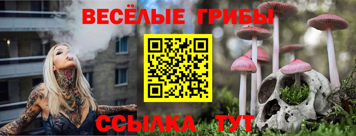 Псилоцибиновые грибы мухоморы Кулебаки