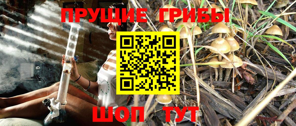 Кулебаки  Галлюциногенные грибы мицелий  как найти закладки  Вход с VPN 